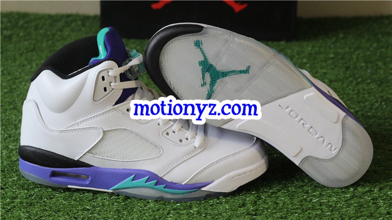 Authentic Air Jordan 5 Retro Grapes